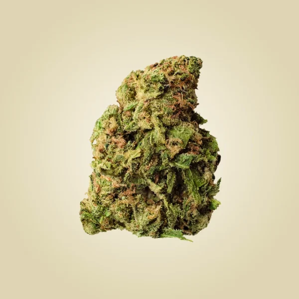 Premium Economy Flower - Image 2